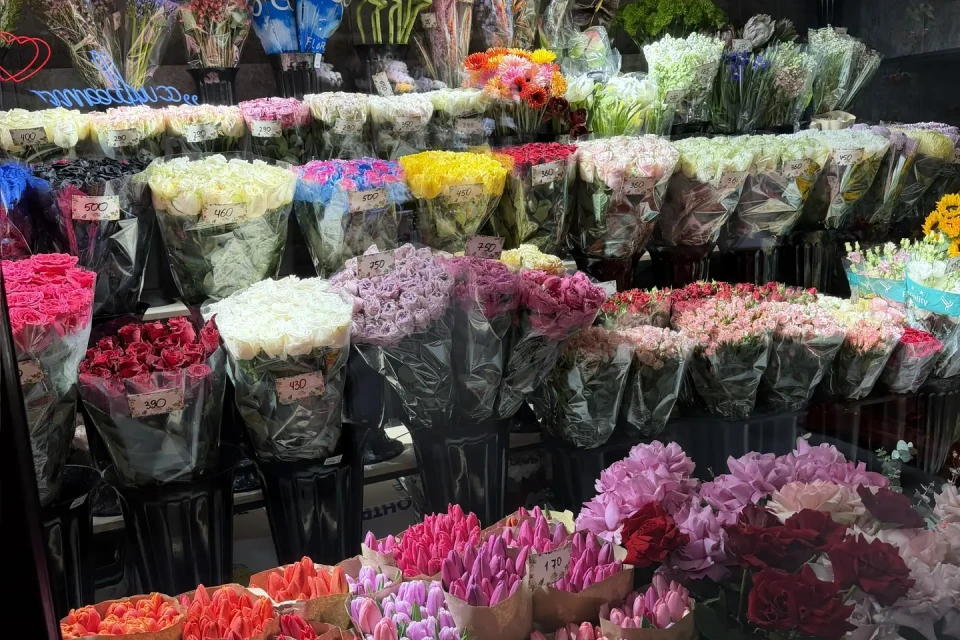 Витрина магазина