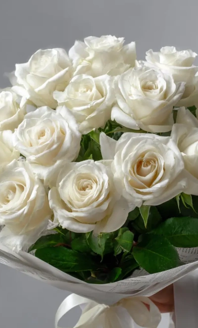 Белые розы «Северная нега»