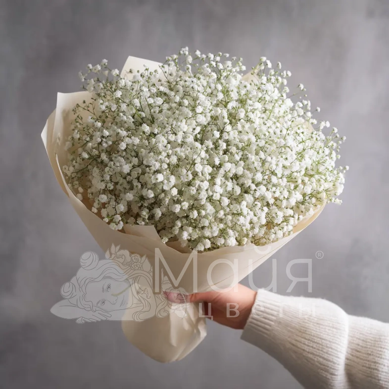 Монобукет из белой гипсофилы