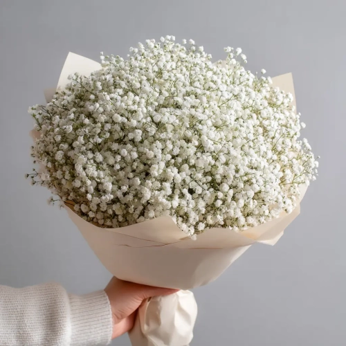 Монобукет из белой гипсофилы