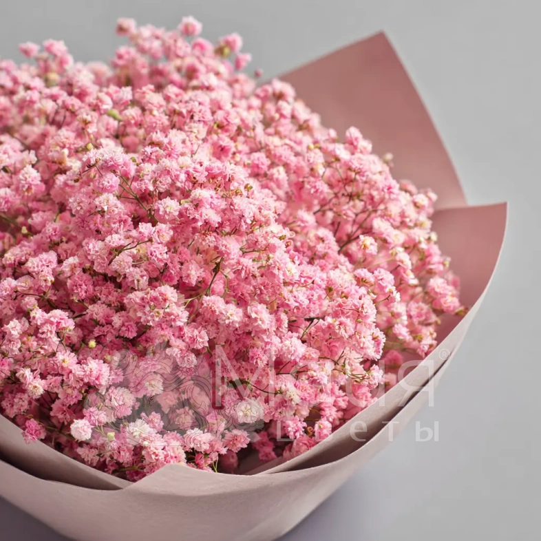 Монобукет из гипсофилы &laquo;Ажурный комплимент&raquo;