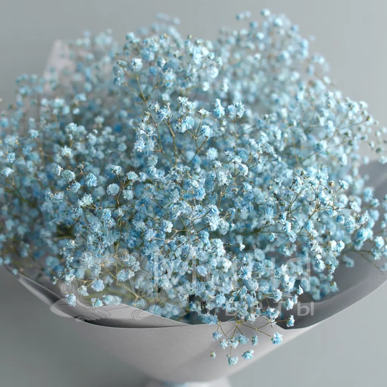 Монобукет из голубой гипсофилы