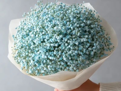 Монобукет из голубой гипсофилы