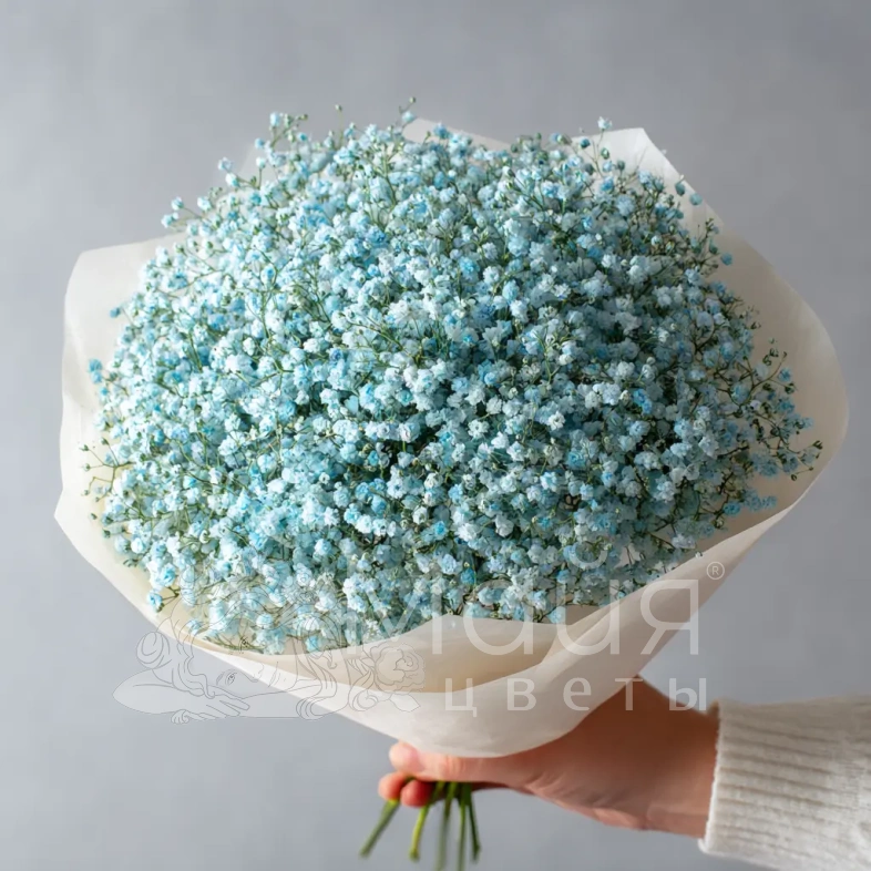 Монобукет из голубой гипсофилы