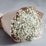 Монобукет из гипсофилы &laquo;Лёгкий штрих&raquo; 1