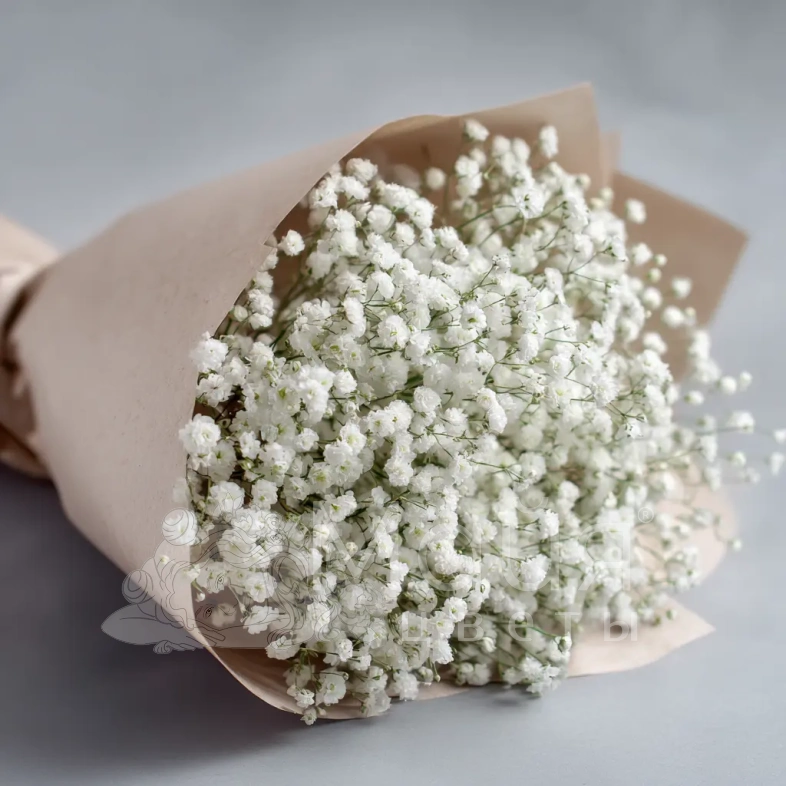 Монобукет из гипсофилы &laquo;Лёгкий штрих&raquo;