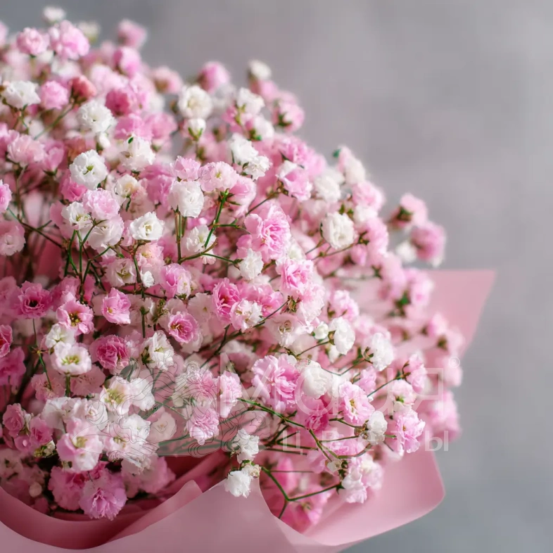 Монобукет из гипсофилы &laquo;Перламутровое облако&raquo;