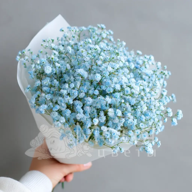 Монобукет из гипсофилы &laquo;Лунный свет&raquo;