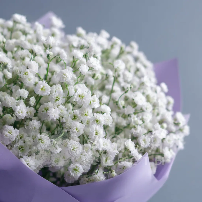 Монобукет из гипсофилы &laquo;Облачная нега&raquo;