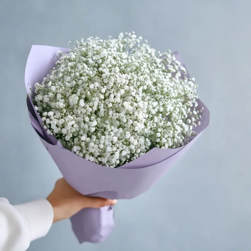 Монобукет из гипсофилы «Облачная нега».