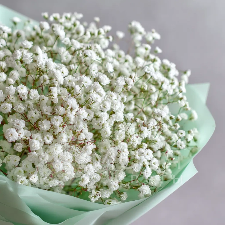 Монобукет из гипсофилы &laquo;Молочная вуаль&raquo;