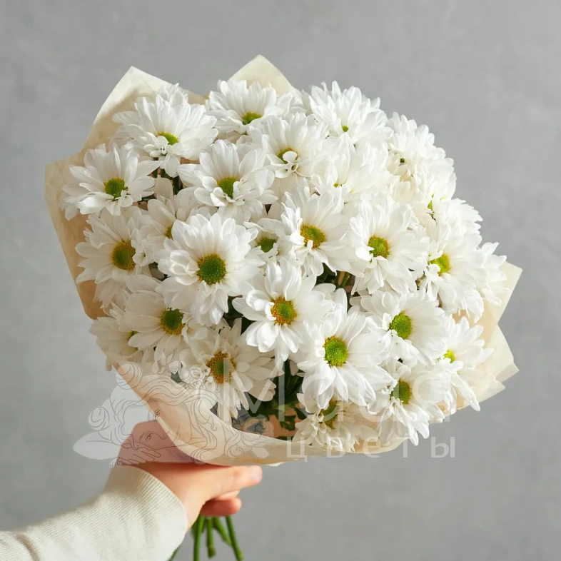 Монобукет из белых хризантем