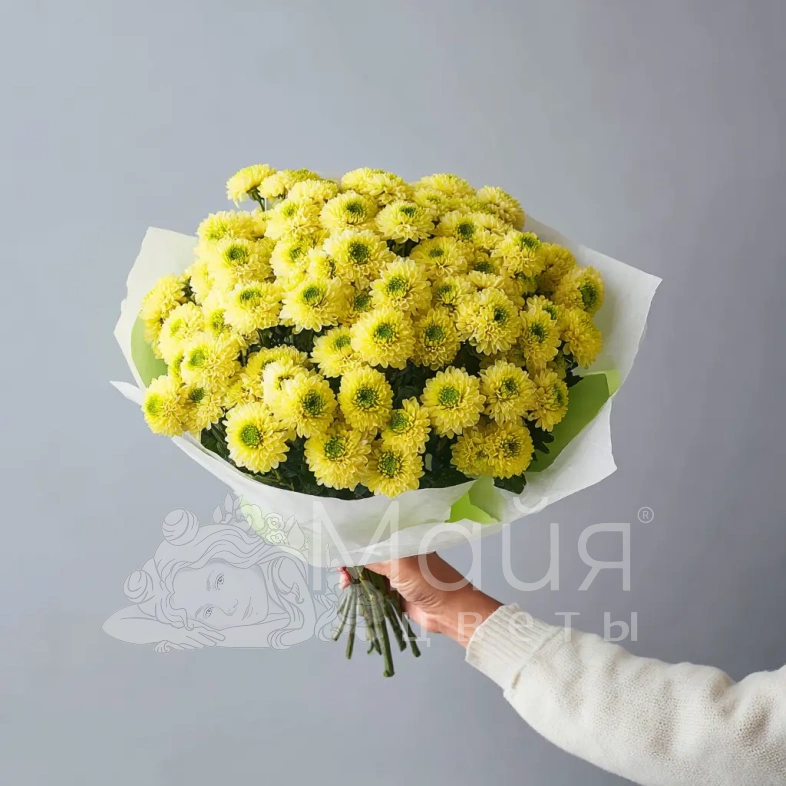 Монобукет из хризантем &laquo;Солнечное касание&raquo;