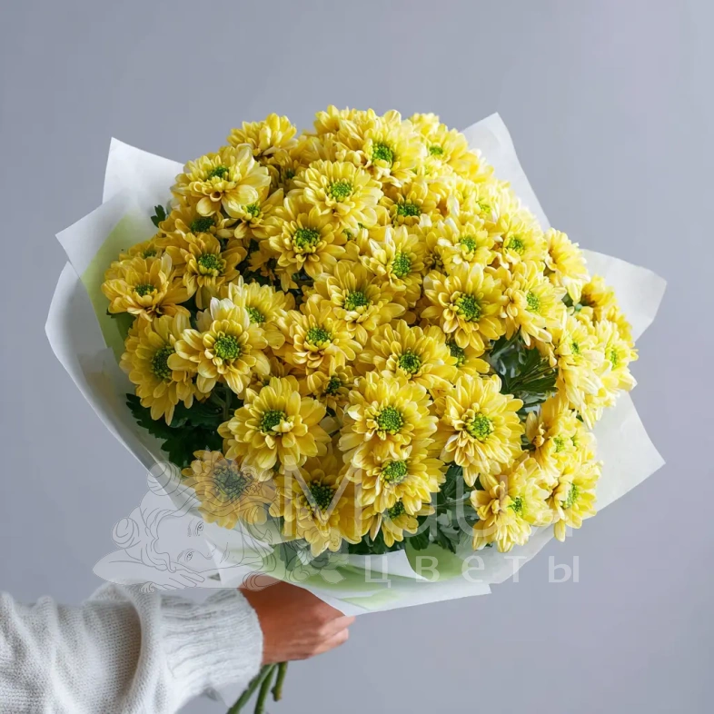 Монобукет из хризантем &laquo;Солнечное касание&raquo;