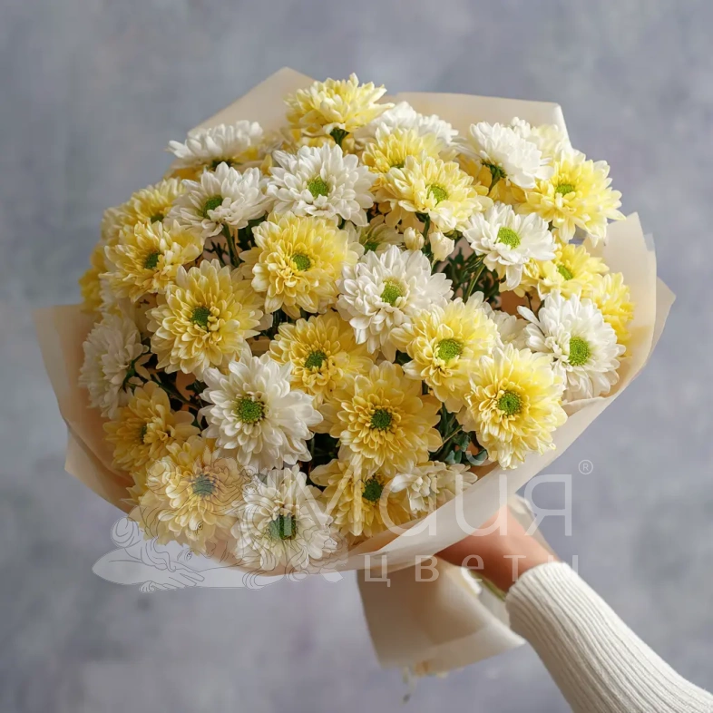 Монобукет из хризантем &laquo;Подарок сентября&raquo;