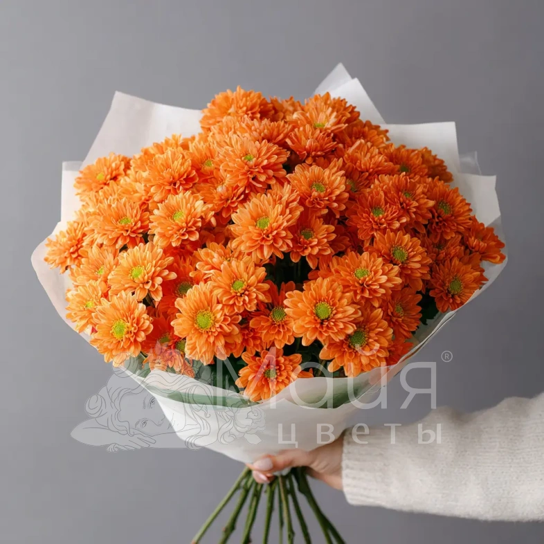Монобукет из хризантем &laquo;Осенний привет&raquo;