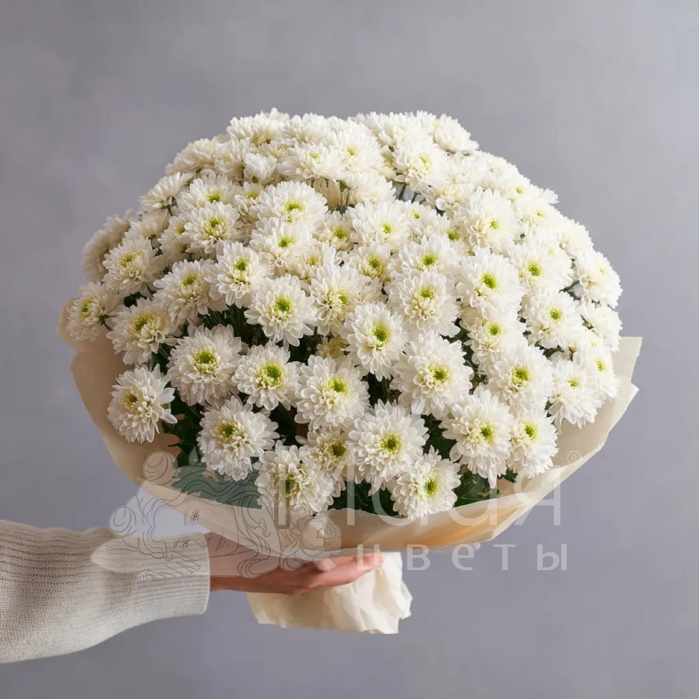 Монобукет из хризантем &laquo;Белое облако&raquo;