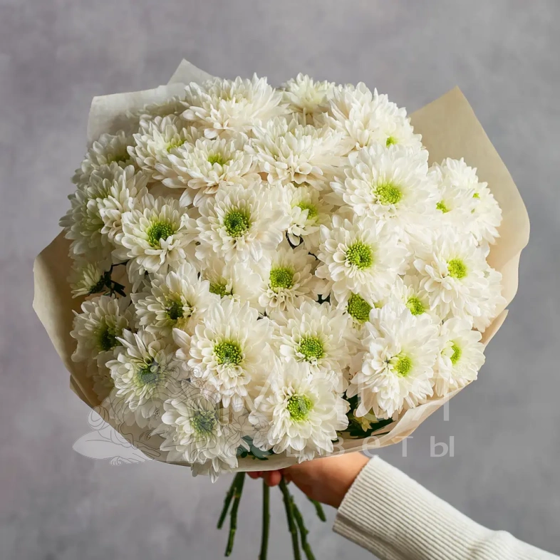 Монобукет из хризантем &laquo;Тепло момента&raquo;