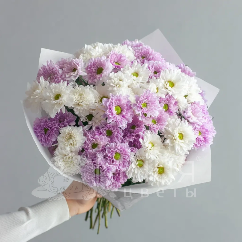 Монобукет из хризантем &laquo;Нежный комплимент&raquo;