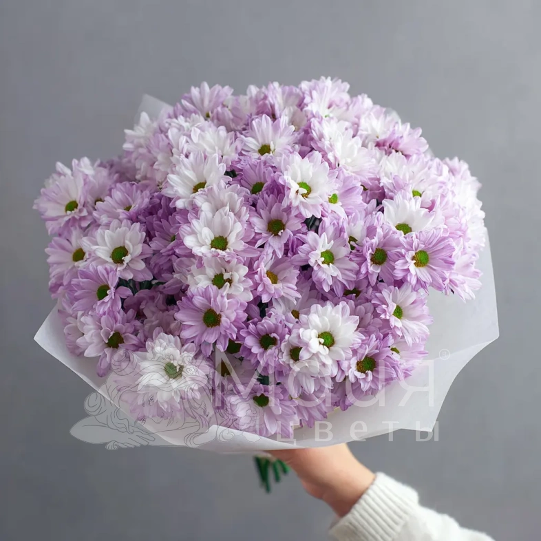 Монобукет из хризантем &laquo;Нежный комплимент&raquo;