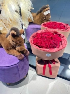 Букет из 17 алых роз 1