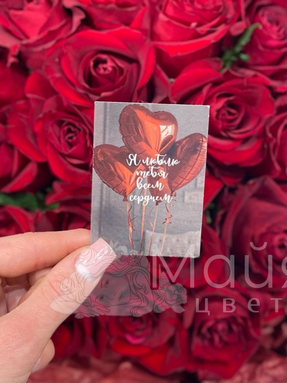 Букет из 17 алых роз