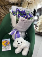 Сет &laquo;Радость весны&raquo;. Букет + игрушка + открытка 0