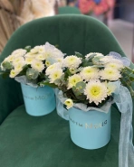 Композиция "Доброе утро" 0