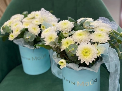 Композиция 