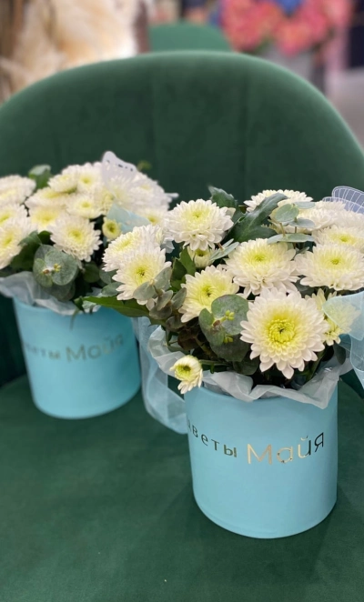 Композиция 