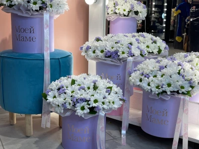 Композиция 