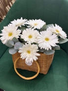 Герберы в плетеной корзине 0