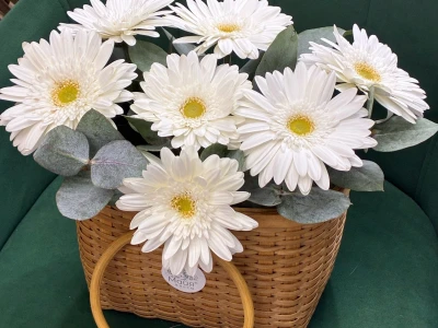Герберы в плетеной корзине