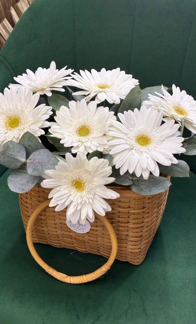 Герберы в плетеной корзине