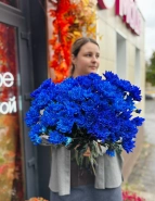 Хризантема кустовая синяя 0