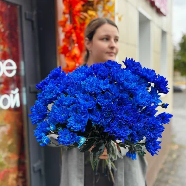 Хризантема кустовая синяя