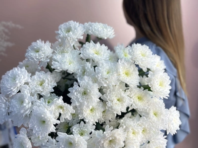 Хризантема кустовая Алтая