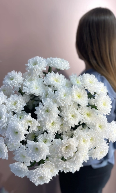 Хризантема кустовая Алтая