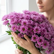 Хризантема кустовая сиреневая поштучно 0