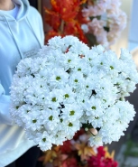 Хризантема кустовая белая 0