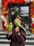 Мягкая игрушка "Попугай" 0