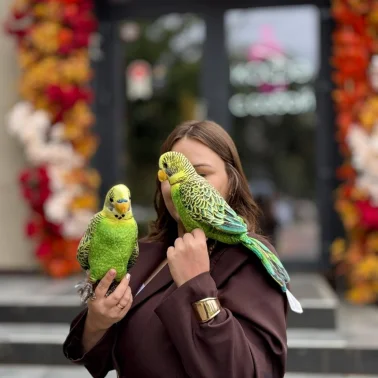 Мягкая игрушка 