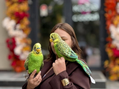 Мягкая игрушка 