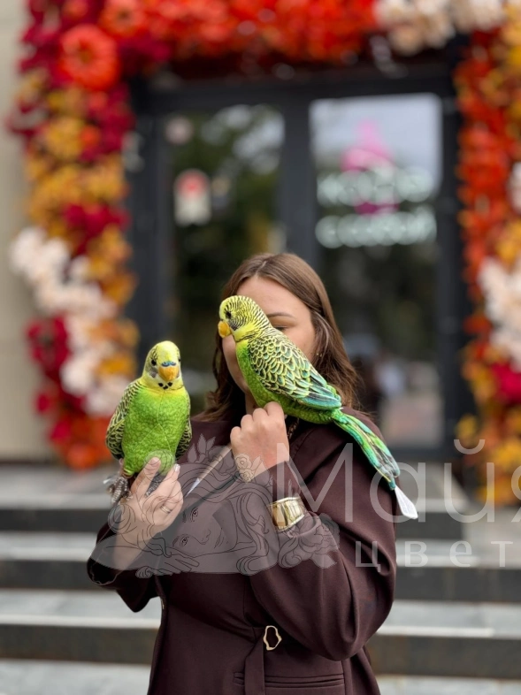 Мягкая игрушка "Попугай"