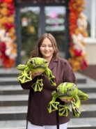 Мягкая игрушка "Лягушка" 0