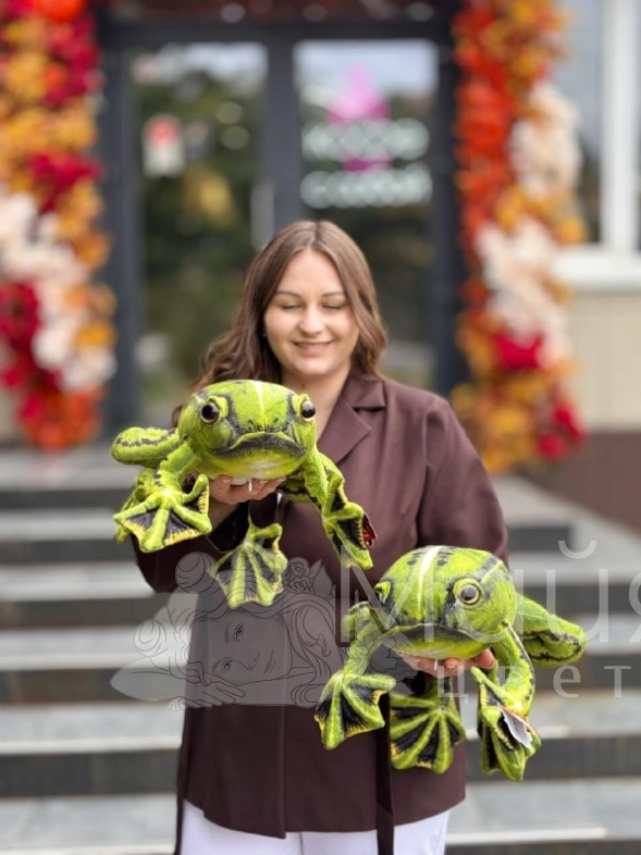 Мягкая игрушка "Лягушка"