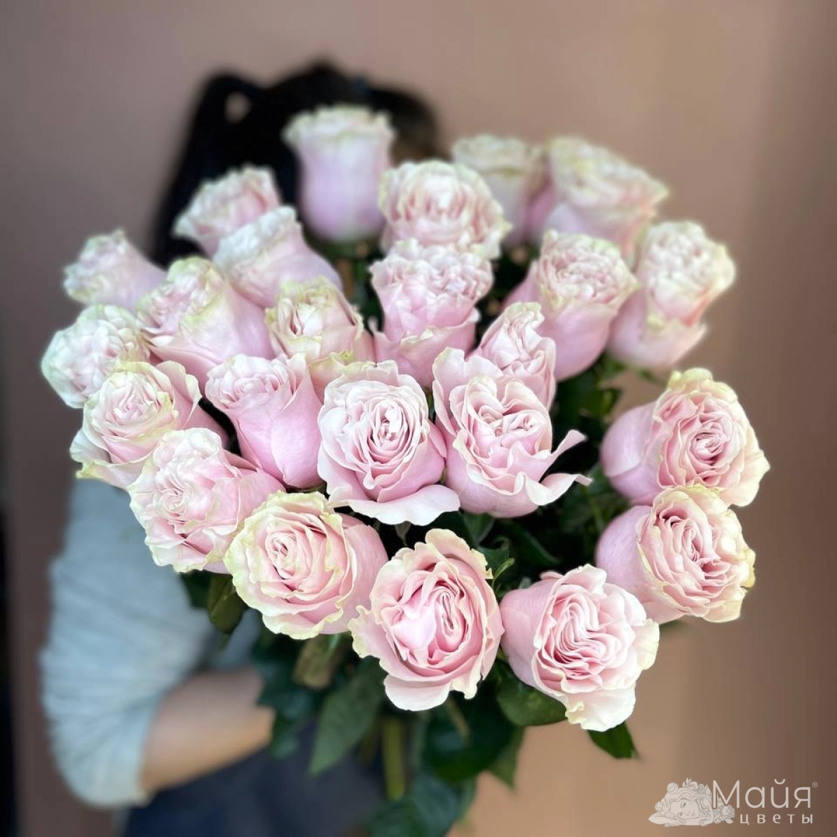 Роза Эквадор Pink Mondial