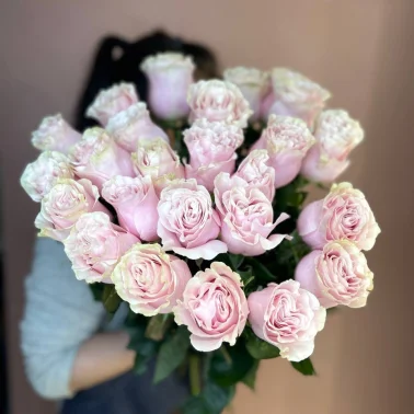 Роза Эквадор Pink Mondial