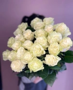 Роза Эквадор Mondial 0