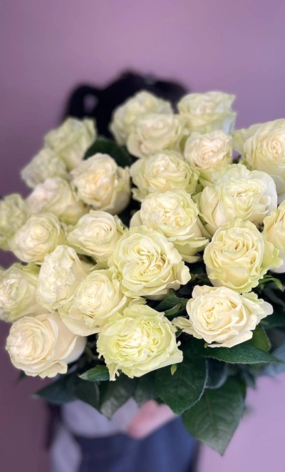 Роза Эквадор Mondial